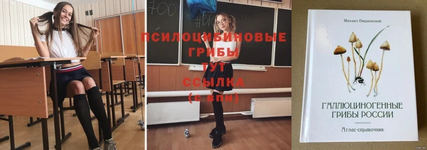 молекула духа Алзамай