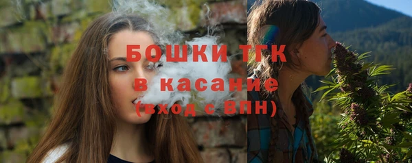 шишки Наволоки