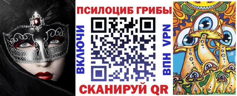 Псилоцибиновые грибы Psilocybine cubensis  hydra рабочий сайт  Тутаев  закладки 
